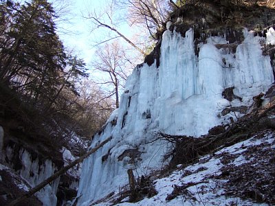 a0016346_21522429.jpg