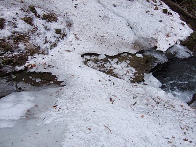 a0016346_21551893.jpg
