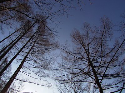 a0016346_22311676.jpg