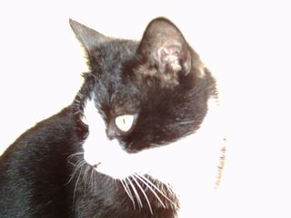 f0002750_1695127.jpg