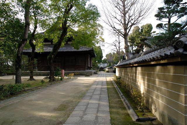 ２月１９日　　聖福寺_c0066251_132624100.jpg