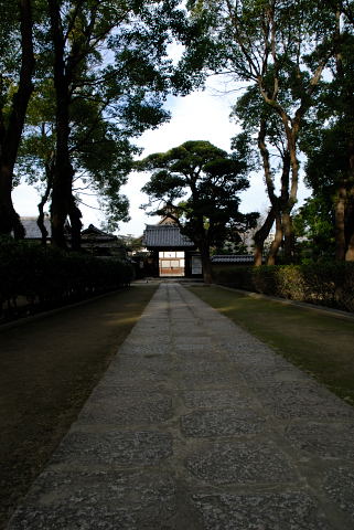 ２月１９日　　聖福寺_c0066251_1326869.jpg