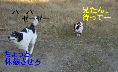 f0053952_1281575.jpg