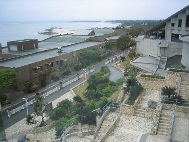 a0027555_03056100.jpg