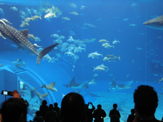 a0027555_036234.jpg