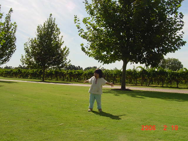 d0065459_17271011.jpg
