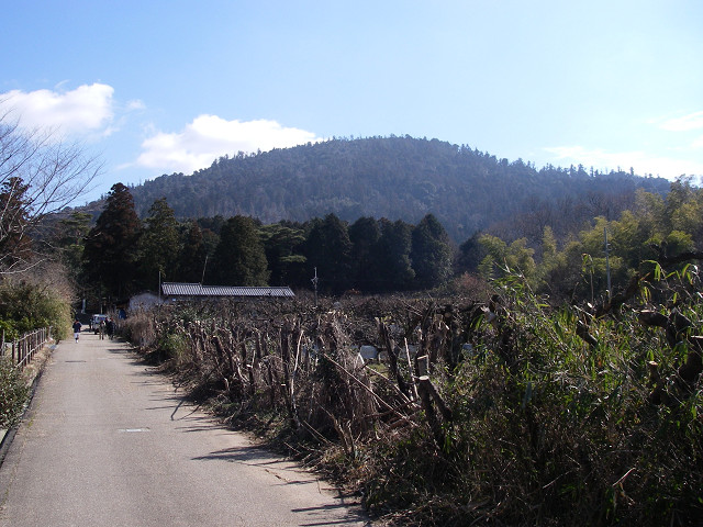 山の辺の道探鳥会_c0002874_1237239.jpg