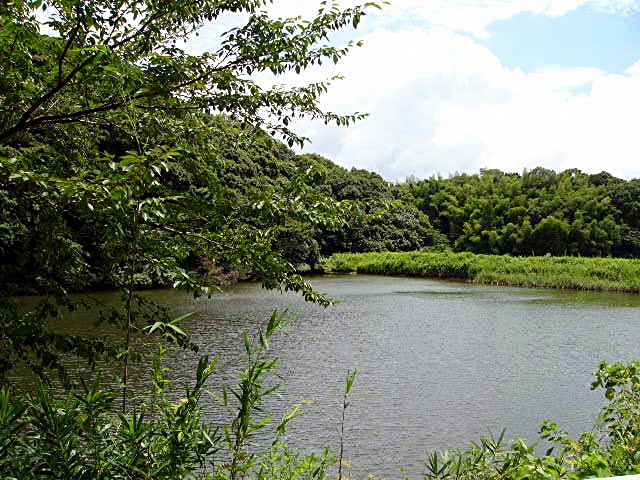 太宰府小学校区 地域写真 2_a0042310_1828082.jpg