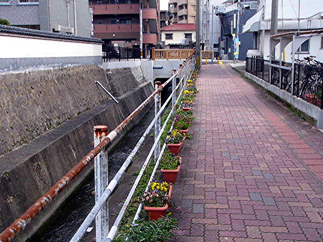 太宰府小学校区 地域写真 2_a0042310_18462554.jpg