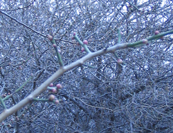 f0038336_8281080.jpg