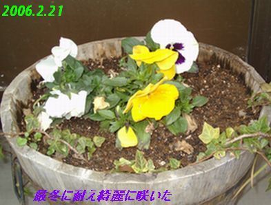 f0002750_1252211.jpg