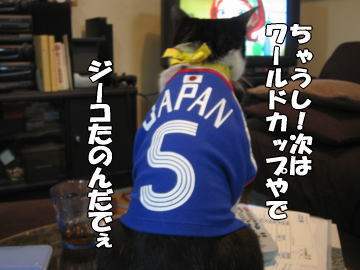 b0041182_723238.jpg
