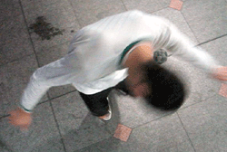 a0004993_129302.gif