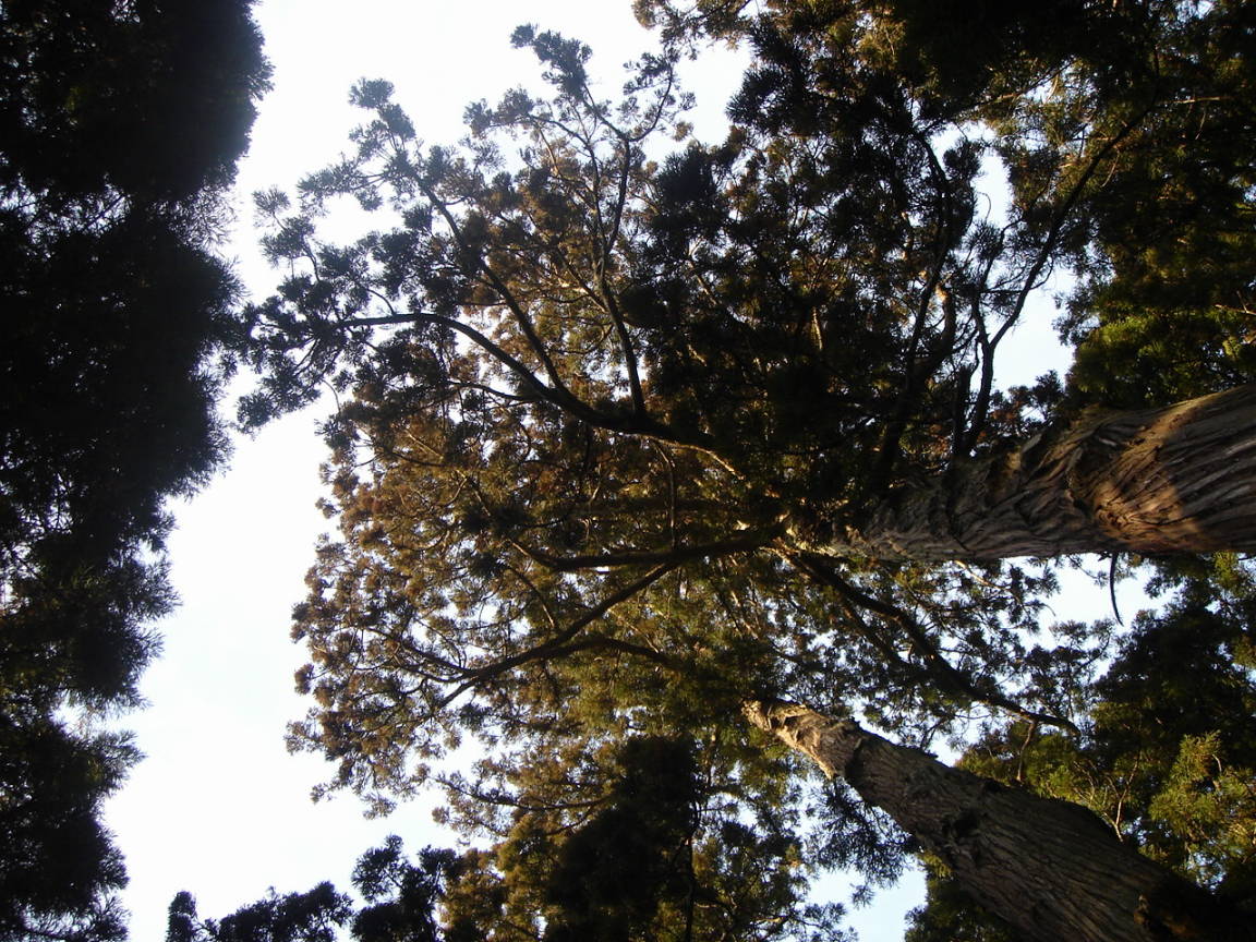 c0047602_0144155.jpg