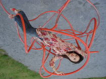 f0006713_14475436.jpg