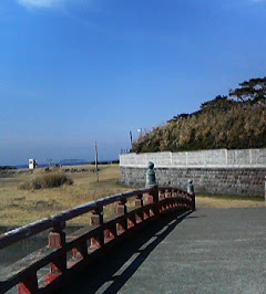 d0065116_185627.jpg