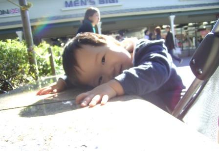 c0004690_1495100.jpg