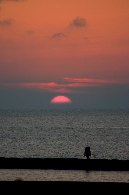 お調子にのって、もう一枚夕陽_d0010900_20114498.jpg