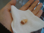 b0043506_23254146.gif