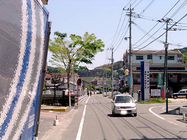 太宰府東小学校区 地域写真_a0042310_21403563.jpg