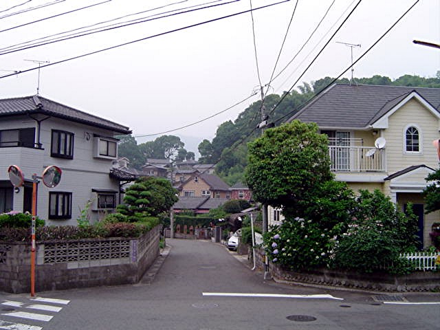 太宰府東小学校区 地域写真_a0042310_21465094.jpg