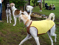 f0071412_10125829.jpg