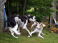 f0071412_1013147.jpg