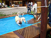 f0071412_10144166.jpg