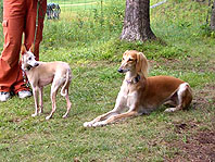 f0071412_1094739.jpg