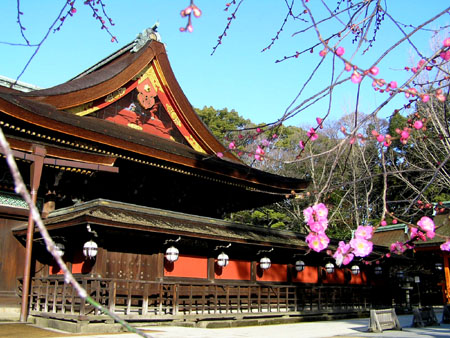北野天満宮の早咲きの梅_e0048413_18124687.jpg