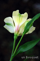 c0051385_1473127.jpg