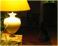 a0034198_19103567.jpg