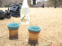 e0041699_3465529.jpg