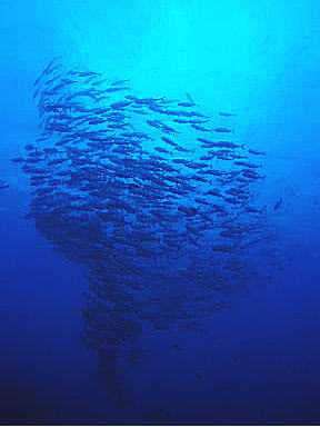 c0072306_11295757.jpg