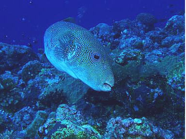 c0072306_1375395.jpg