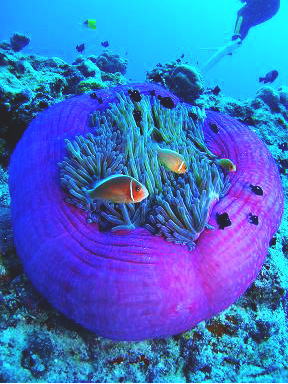 c0072306_137552.jpg