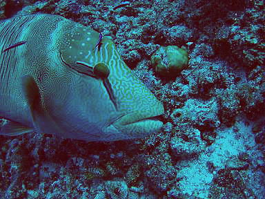 c0072306_138527.jpg