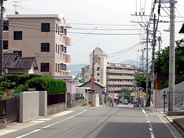 水城小学校区 地域写真_a0042310_2239540.jpg