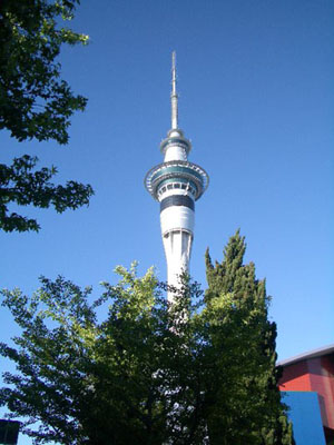 Sky Tower_f0078132_8384358.jpg