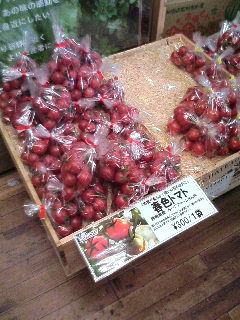 呉の新しい名物 ぶちうまい野菜 ベネスティー_a0033733_18112834.jpg