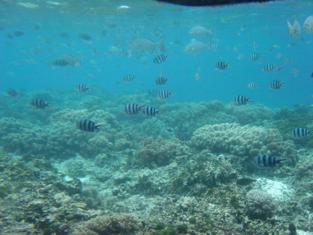 f0036857_15205739.jpg