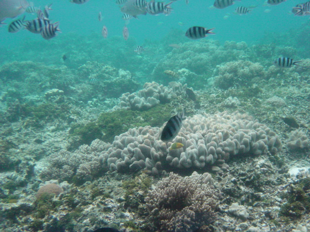 f0036857_15212737.jpg