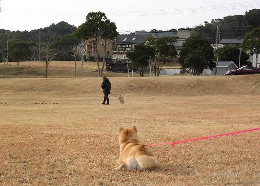 2006年2月24日荒川静香、金メダル!_f0060461_11283131.jpg