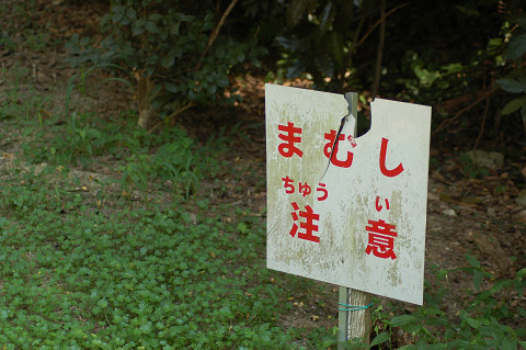 c0050163_723410.jpg
