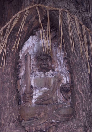 生木に彫り込まれた不動明王_a0045381_1831453.jpg