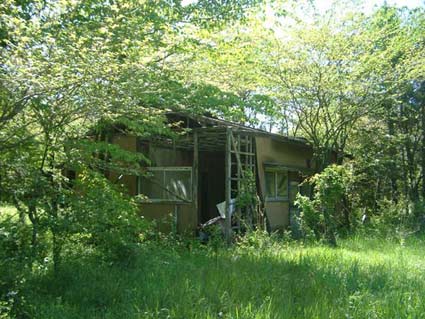 薮化した森と廃屋に大いにビビる 高原に家が建つまで