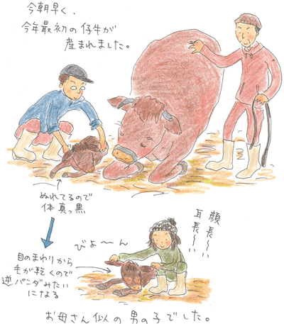 b0015222_2101275.gif
