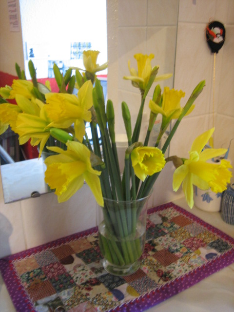 Daffodils _e0009547_18502031.jpg