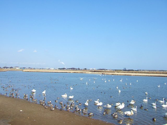 a0036649_20414823.jpg