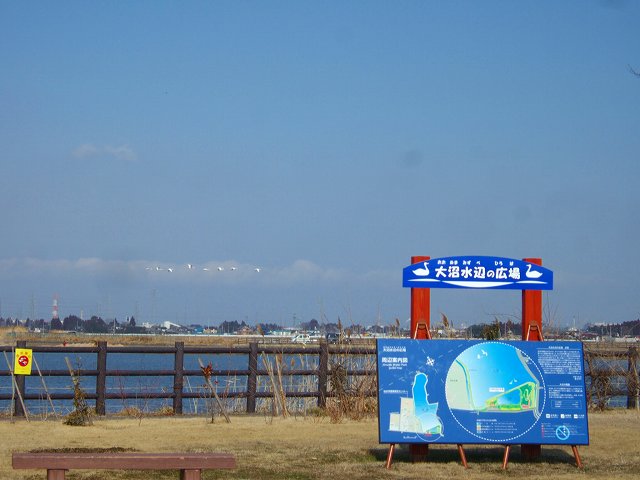 a0036649_20522916.jpg